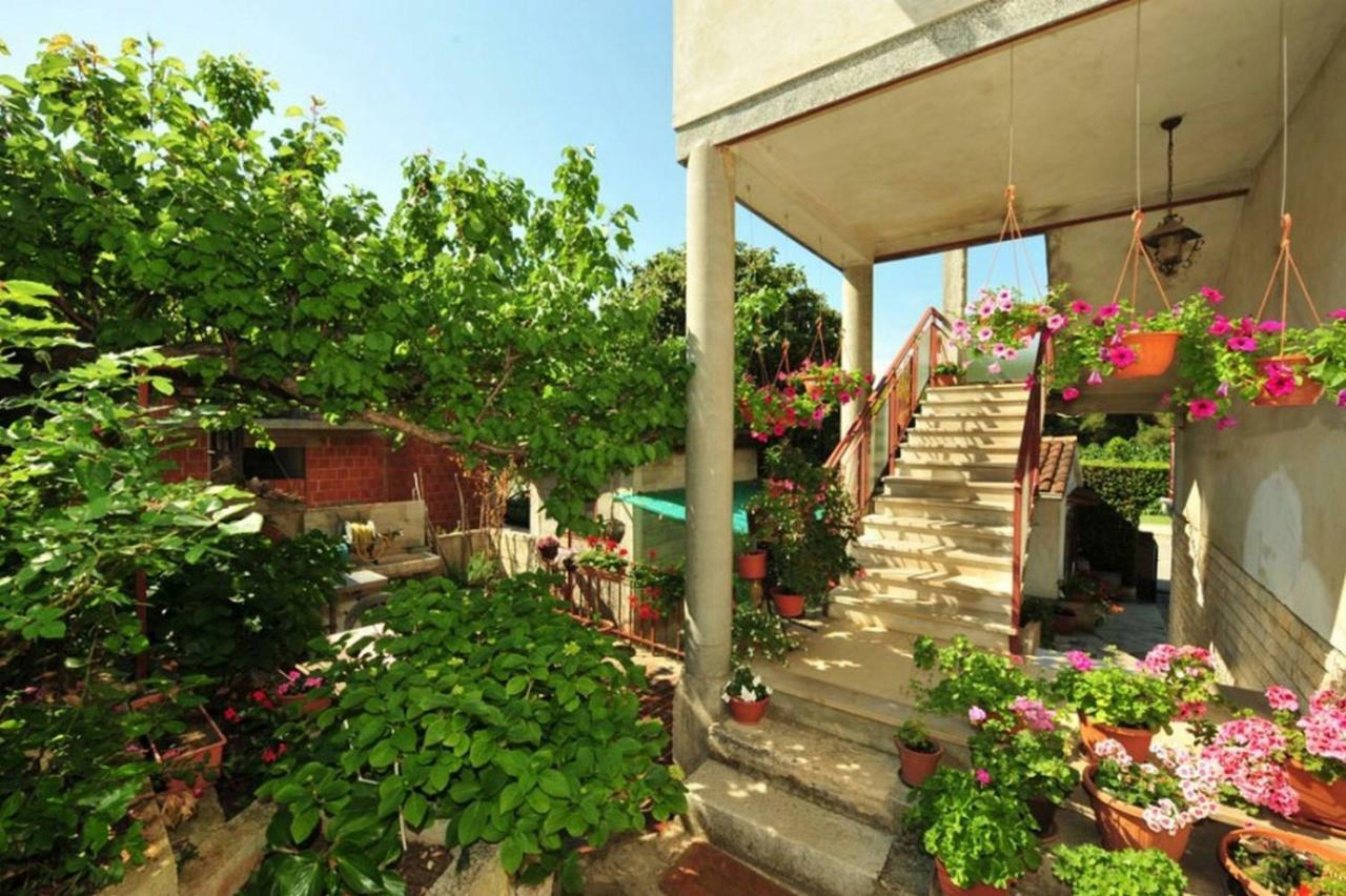 Apartment Patricia Ρόβινι Εξωτερικό φωτογραφία